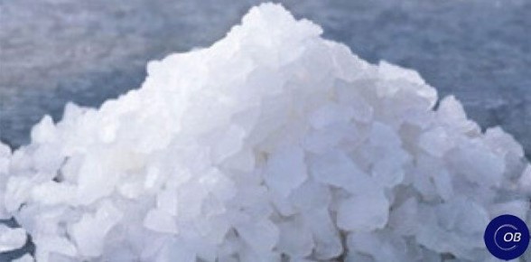 Почему соль может навредить растениям и почве