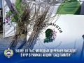 С 19 по 30 апреля в Карачаево-Черкесии пройдет акция «Сад памяти» и объединит более 1,5 тыс