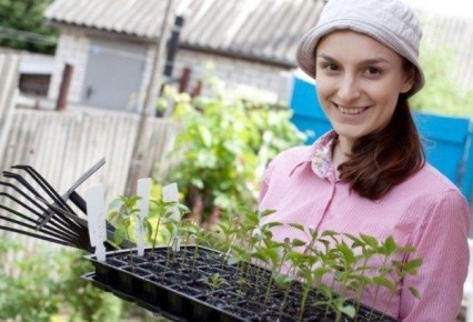 ��� ������������� ���� �����: ������� ������� �� ������ ������