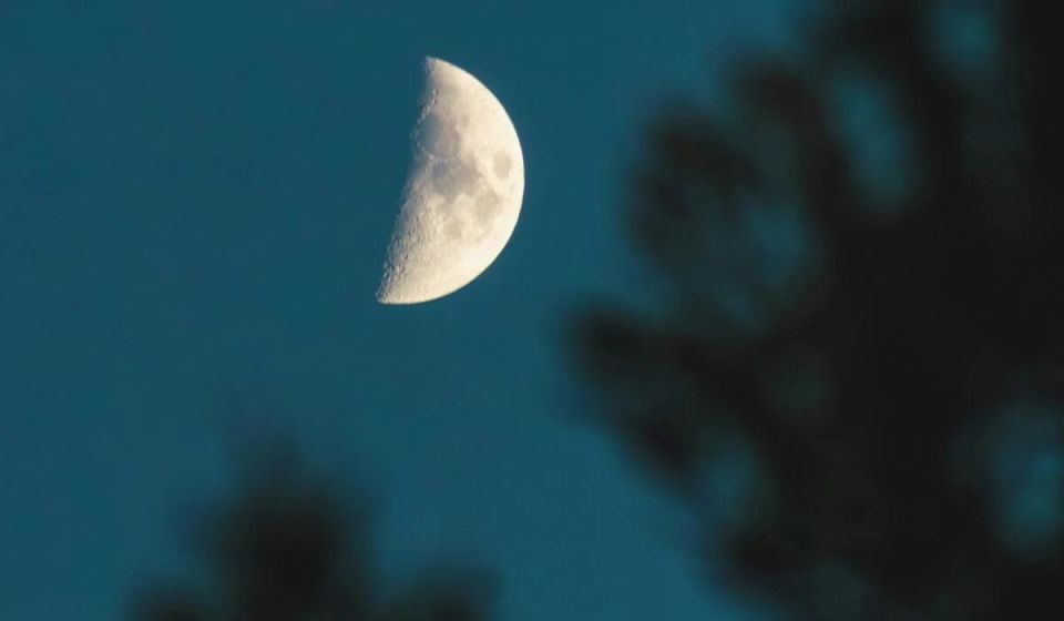 ���� ����, ������� ����� ��������� �������: ��� ����� ����� � ������ ���������