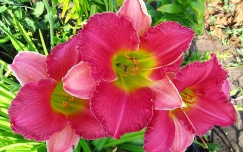 ���������: ������� ��� �������� ��������� ��� � ����� ����