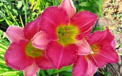 ���������: ������� ��� �������� ��������� ��� � ����� ����