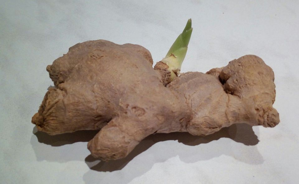 ��� ��������� ������ �� �����������: ������ ��� ����������