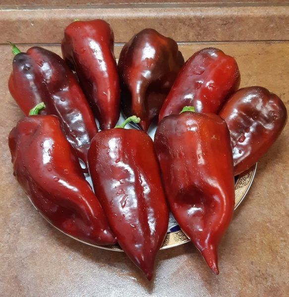 ������� ����� �������: ������� �������������� ������