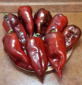 ������� ����� �������: ������� �������������� ������