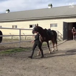 Триумфальное выступление наших спортсменок
