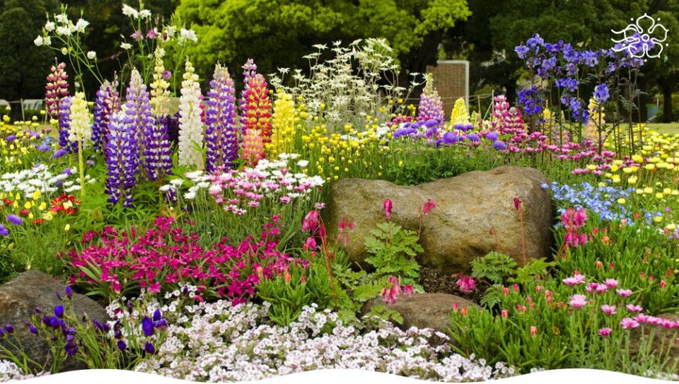 �������������� ������������: ��� ������� ����� ������ � ����