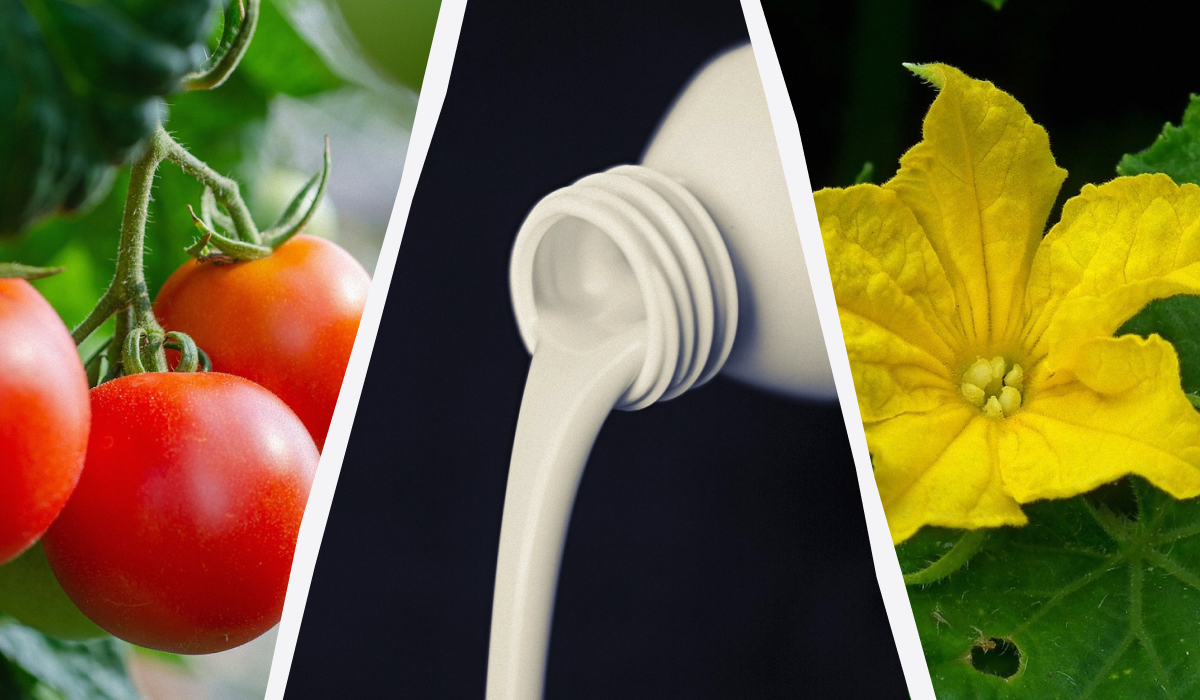 Почему садоводы выбирают кефир для ухода за растениями