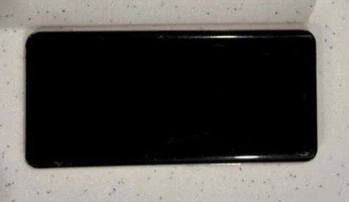 ���� ������, ������ �����. � ��������� 19-������� ������ ���������, ���������������� ��������� ��������� �������, �������� ��������� ����