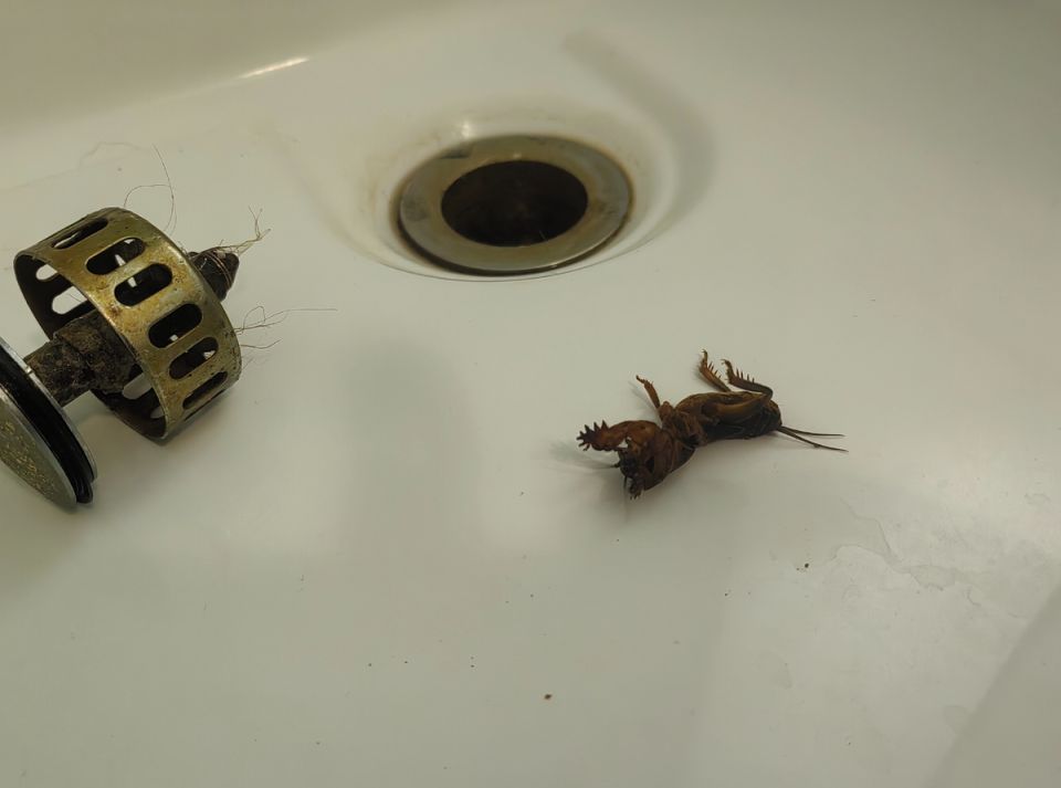 ��� ���������� �������� ������� �� ��������: ������ ������ � ������