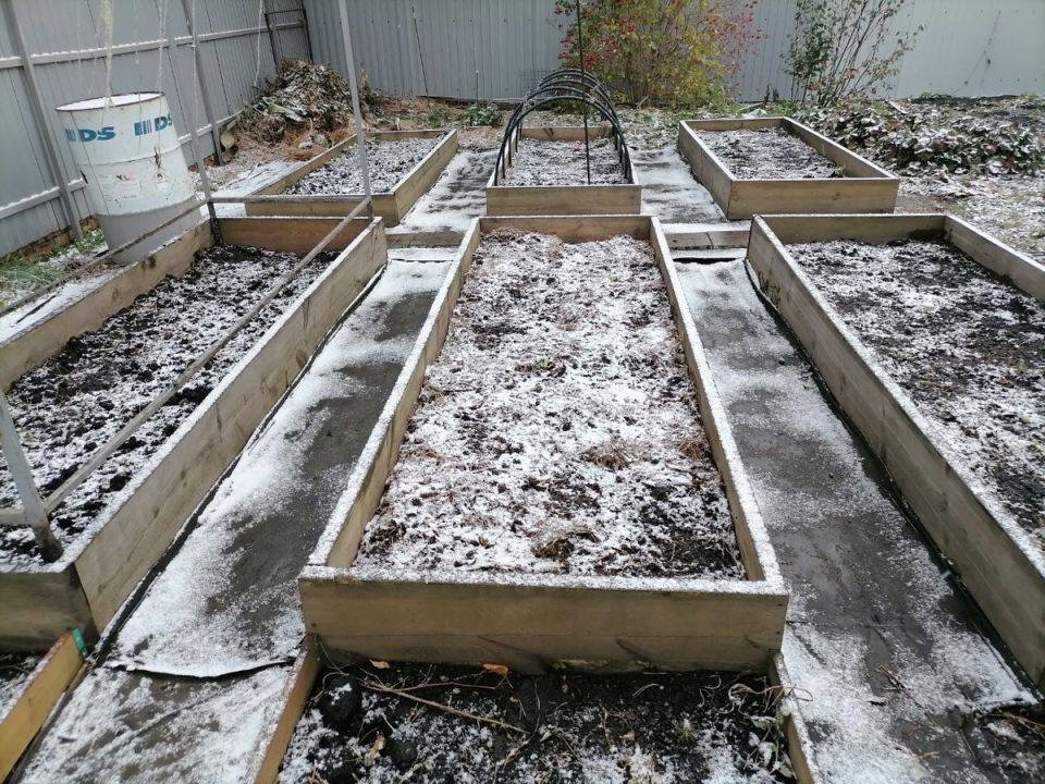 ����������� ������ �� ��������: ������ �������� � ������ ���������