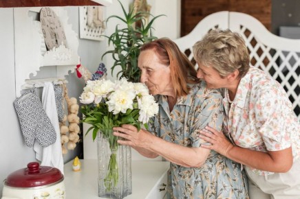 ������ �������� � ���� �������� �������� ������� �� ��������