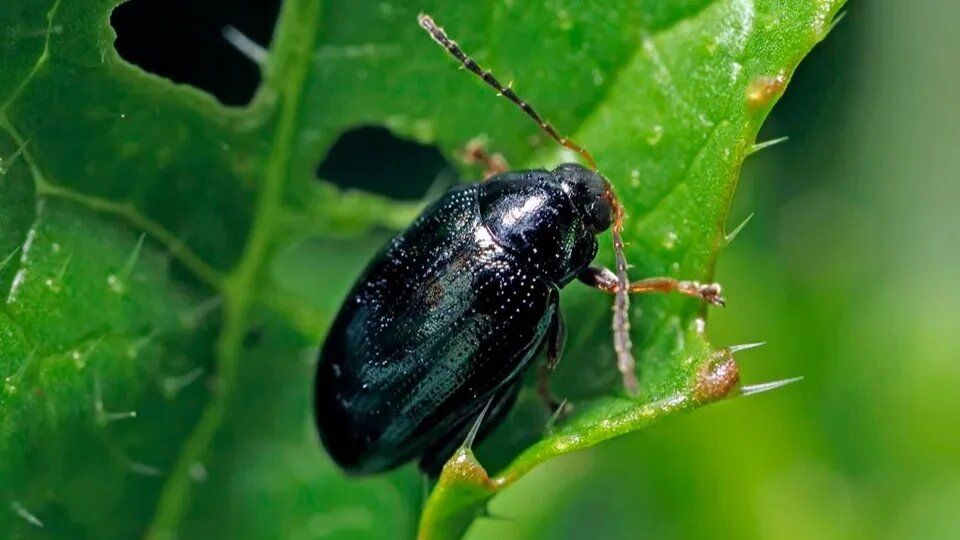 ��� ���������� � ������������� �������: ������� ������ ��� �����