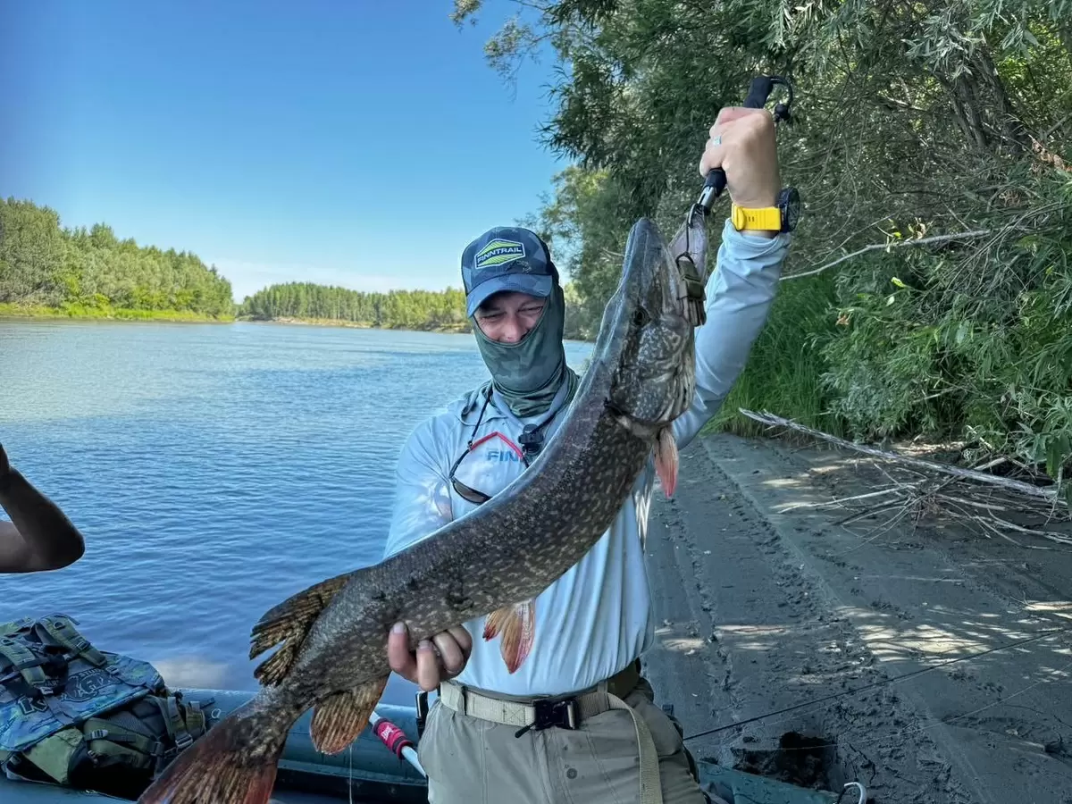 На Оби прошла захватывающая рыбалка: щуки вместо крокодилов