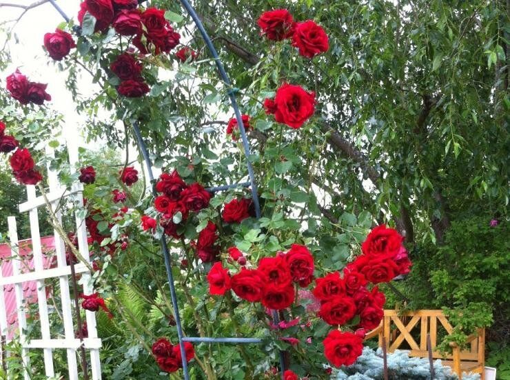 ��������� ����: ������� ��������� ����� � ������ ���