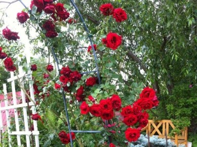 ��������� ����: ������� ��������� ����� � ������ ���