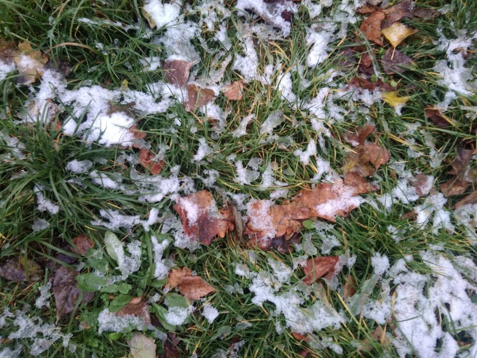 ������ ������� ��� �������: ���� ����� ��������, ����� ��������� ������� ���������