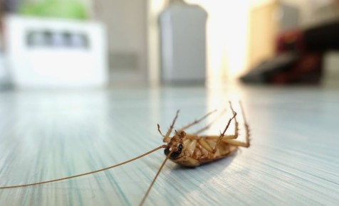 ������ �������� ����� ������������: ������ ����� � ������ �� ������ � ����