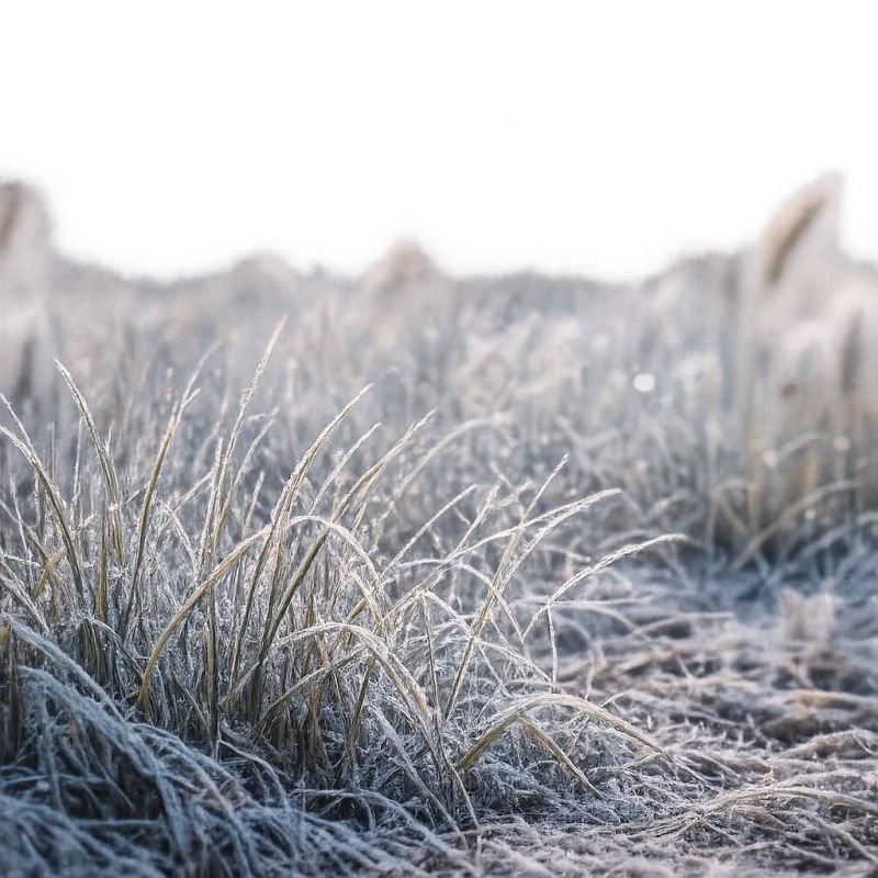 � ��������� ��� � ���������� ����� ����������