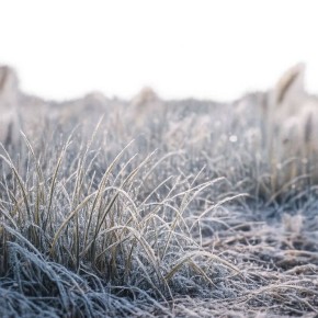 В ближайшие дни в республике резко похолодает