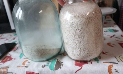 Как молотая яичная скорлупа и луковая шелуха улучшают рассаду перца и томатов