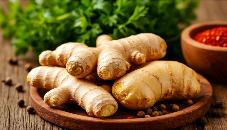 ������ ����� �������� ������ ������