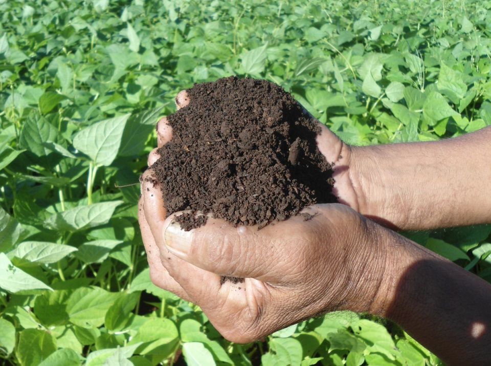 ������������ ���������: ������ ��� �������?