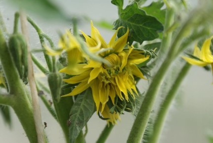 ��� ����� �������� ����� � �������?