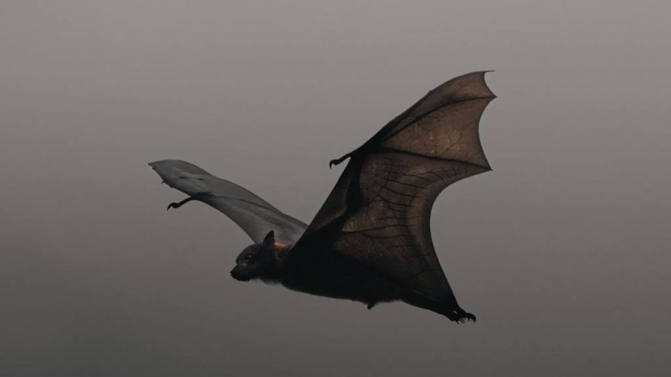 �����, ������� ������� ������� ������ ������