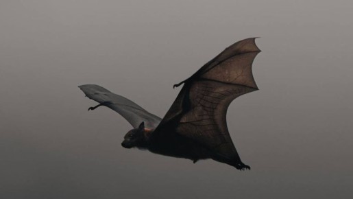 �����, ������� ������� ������� ������ ������