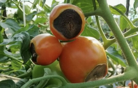 �������� ��������� ����� � �������: ������� � ������� �������