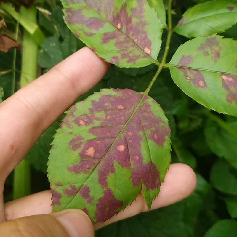 �������� �� �������: ��� ���������� � ��������� ���������