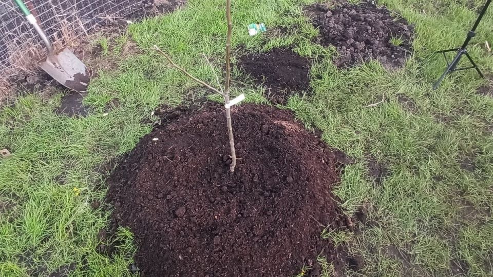 ��� ��������� ������ ����� ������: ������� �������� �������