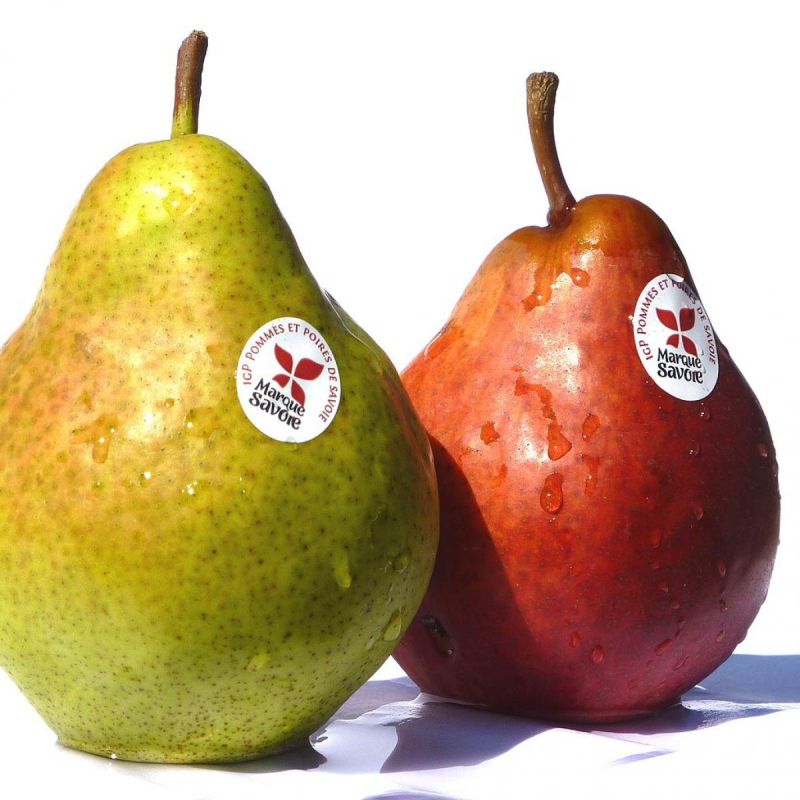 ����� � �� ������� ������: ���� �������� � ����