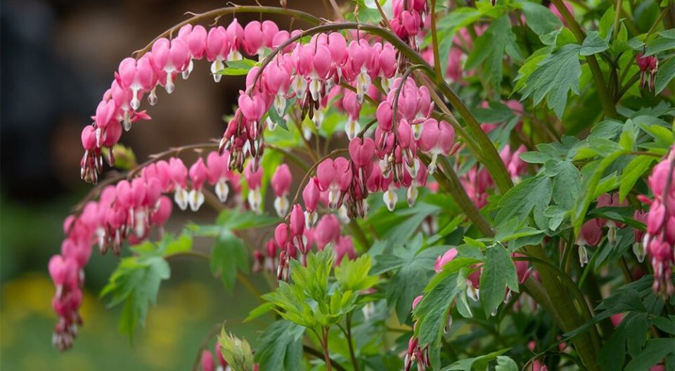 ��������: ������ � ������������� ���������� � ������������� ������� �������� �����