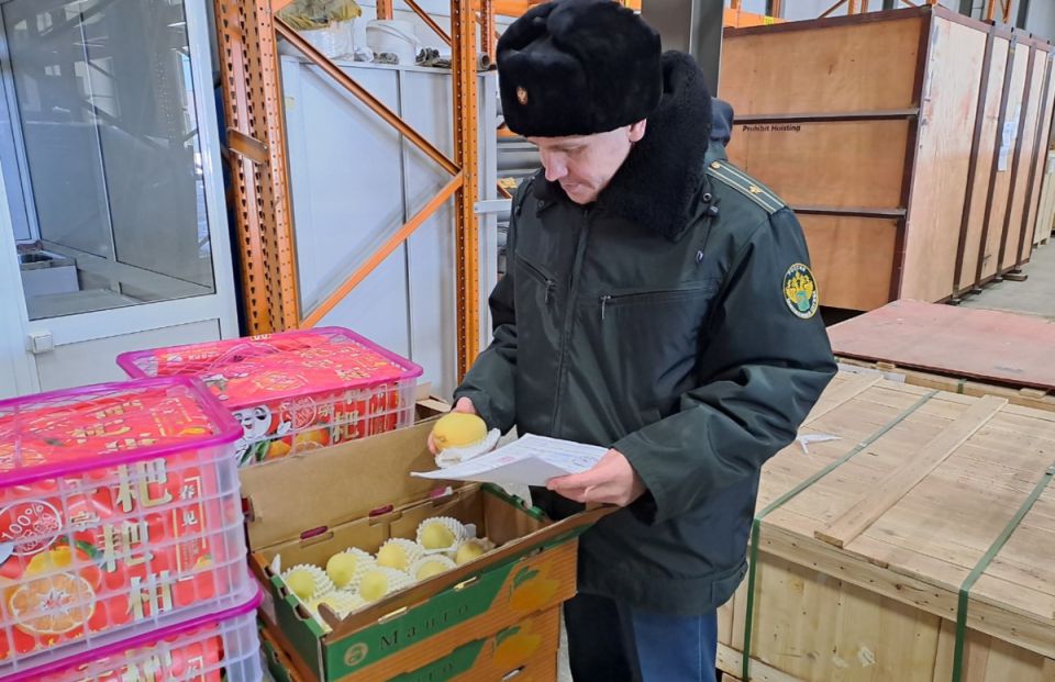 ���� �������� ��������: ���� � �������� ������ � �������