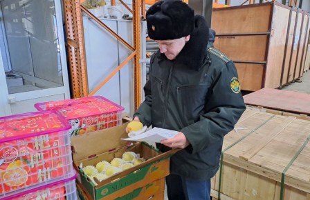 ���� �������� ��������: ���� � �������� ������ � �������