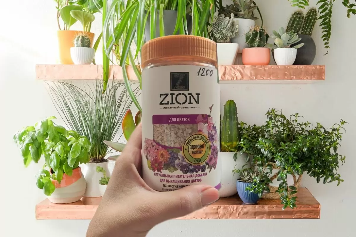 Новый взгляд на ЦИОН: стоит ли добавлять его в свой арсенал?