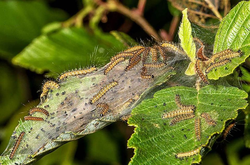 ��� �������� ��� � ���� �� ���������� ���������� ����������