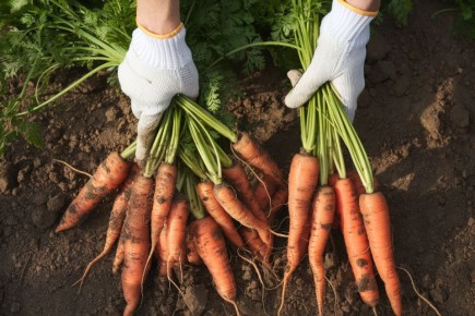 ������� ������ ����, �� �� ����? ��� ��������� � ���� ������� � ������� � ������