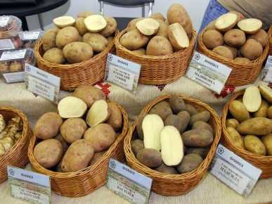 ��� ����� �� ��� �� ��������� ���� ������: ������ ���������