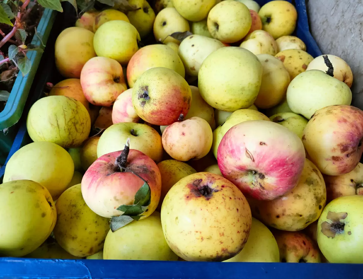 Как заинтересовать детей в фруктах и овощах: простые советы