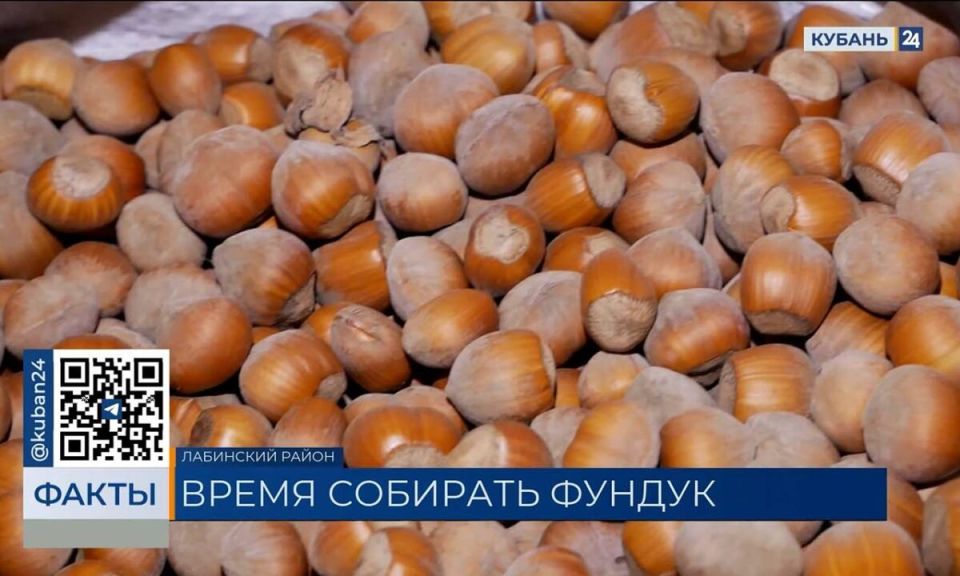 � ��������� ������ �������� ���� �������