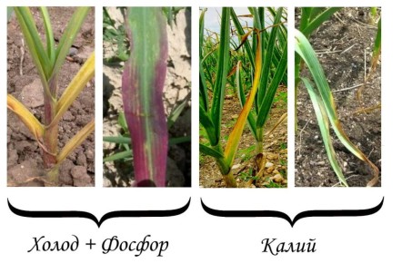 ������ ������� ������ ������� � ��� ��������� ��������