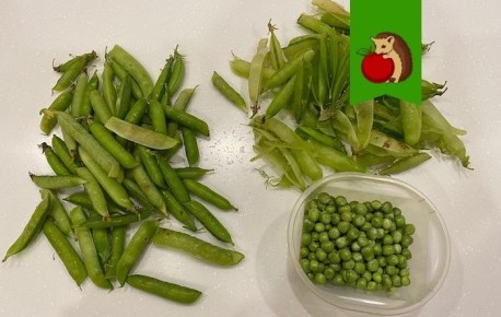 ����� ��������� ����������� ������: 5 �������� ��� ��������� ������