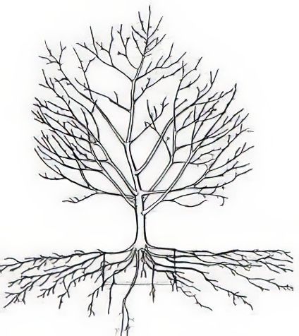 ����� ������ ������� ��� �������� ��� ������� ������ ��������� ���?