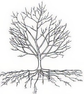 ����� ������ ������� ��� �������� ��� ������� ������ ��������� ���?