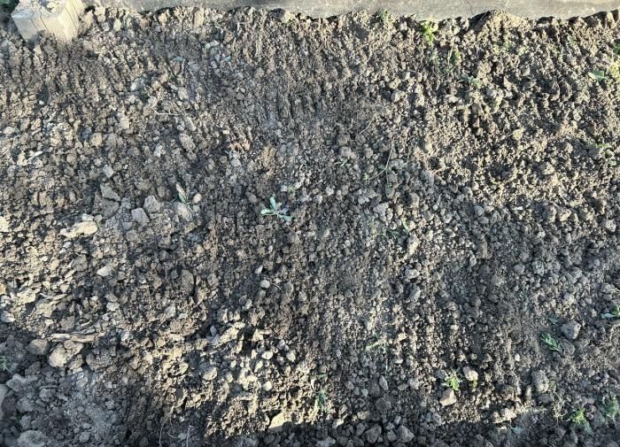 ����� �� ���������� �����: ���� � ���������� ��� ���������