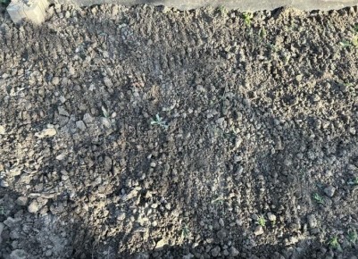 ����� �� ���������� �����: ���� � ���������� ��� ���������