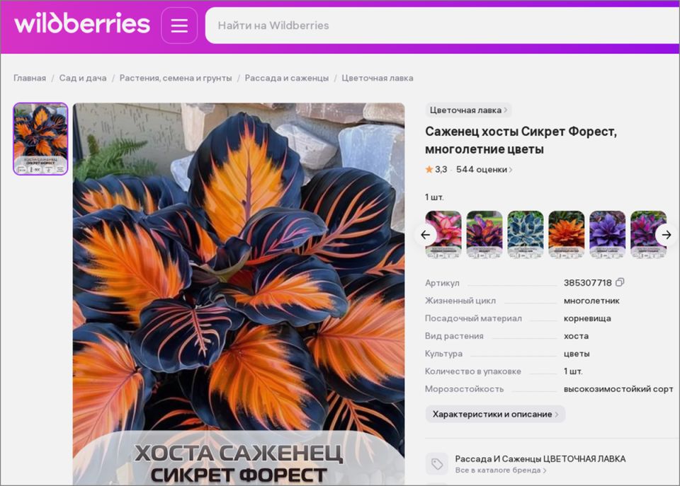 ��� �� ����� ������� ���������� ��� ������� �����: ������ ��� ���������